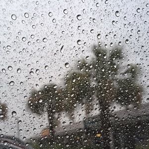 Meet your Posher, Sydney